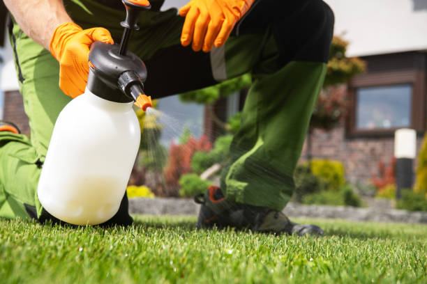 Best Commercial Pest Control Services  in Shallowater, TX