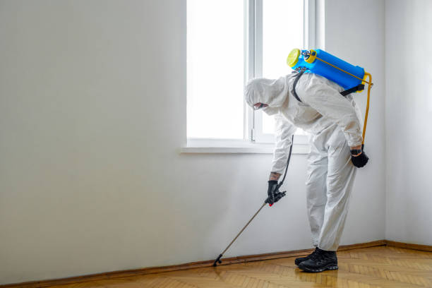 Best Pest Control Near Me in Shallowater, TX